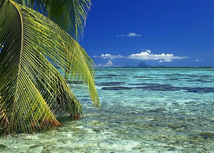 Vahine Private Island